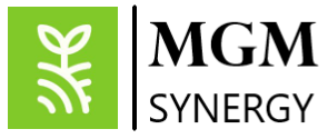 MGM Synergy